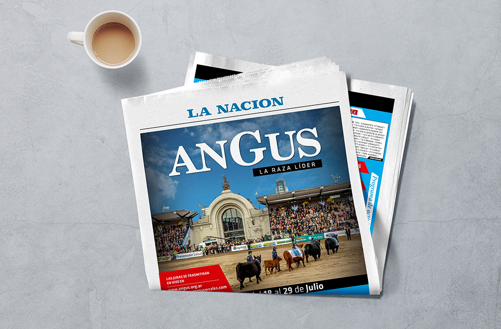 ASOCIACIÓN DE ANGUS ARGENTINA